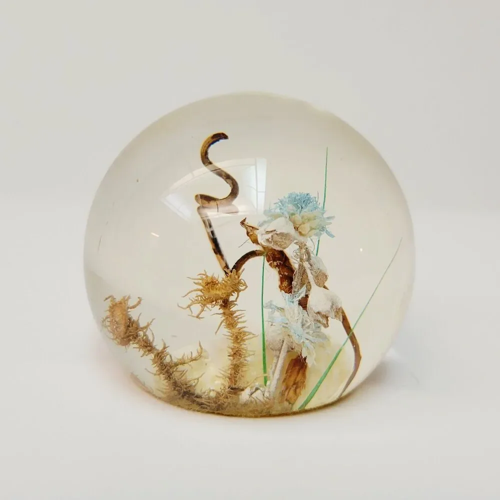 Vintage Resin Botanical Paperweight Dried Flowers Shell Clear Orb Sphere 2